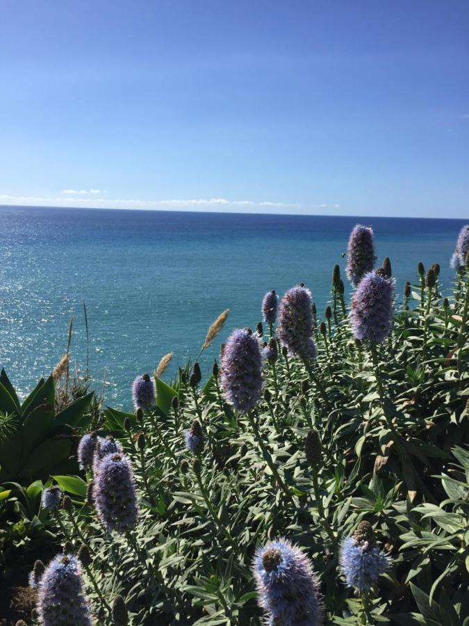 Calheta Ocean View Apartment 2 - Air Condition Estreito Da Calheta Dış mekan fotoğraf
